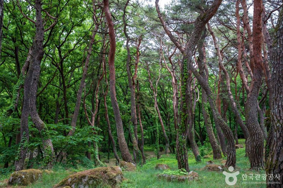 [경남] 동호숲