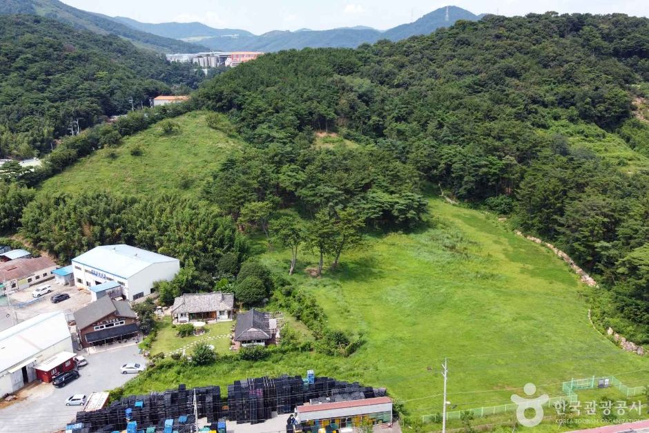 [경남] 김해 양동리 고분군
