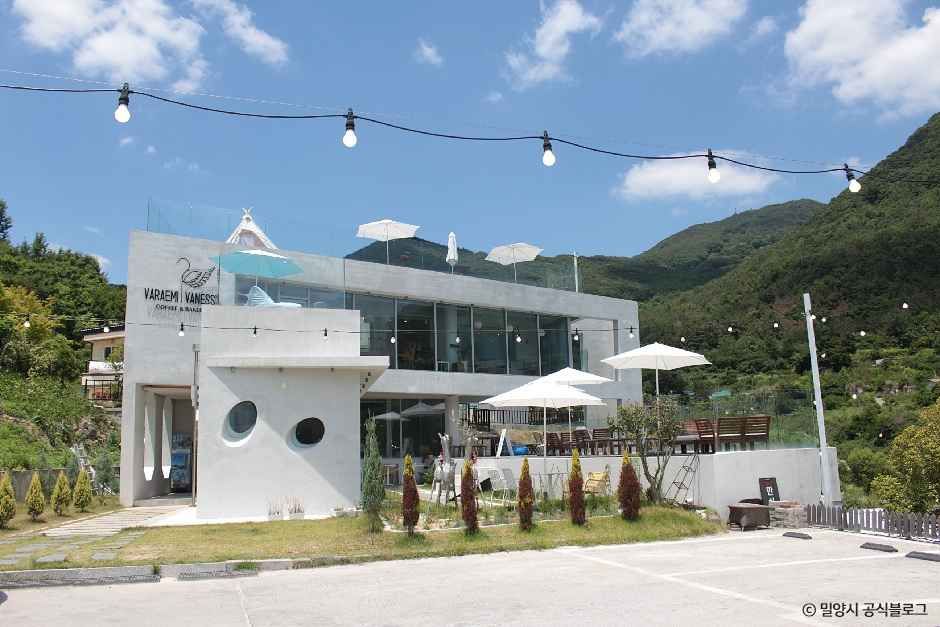[경남] 바래미바네사