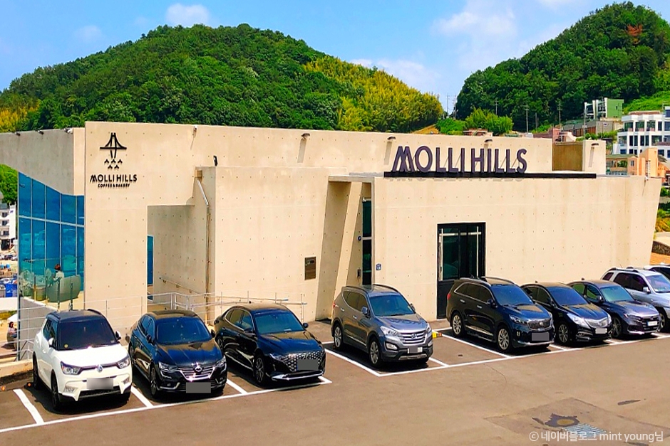[경남] 몰리힐스