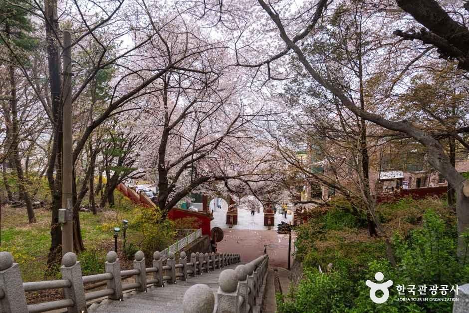 [인천] 자유공원(인천)
