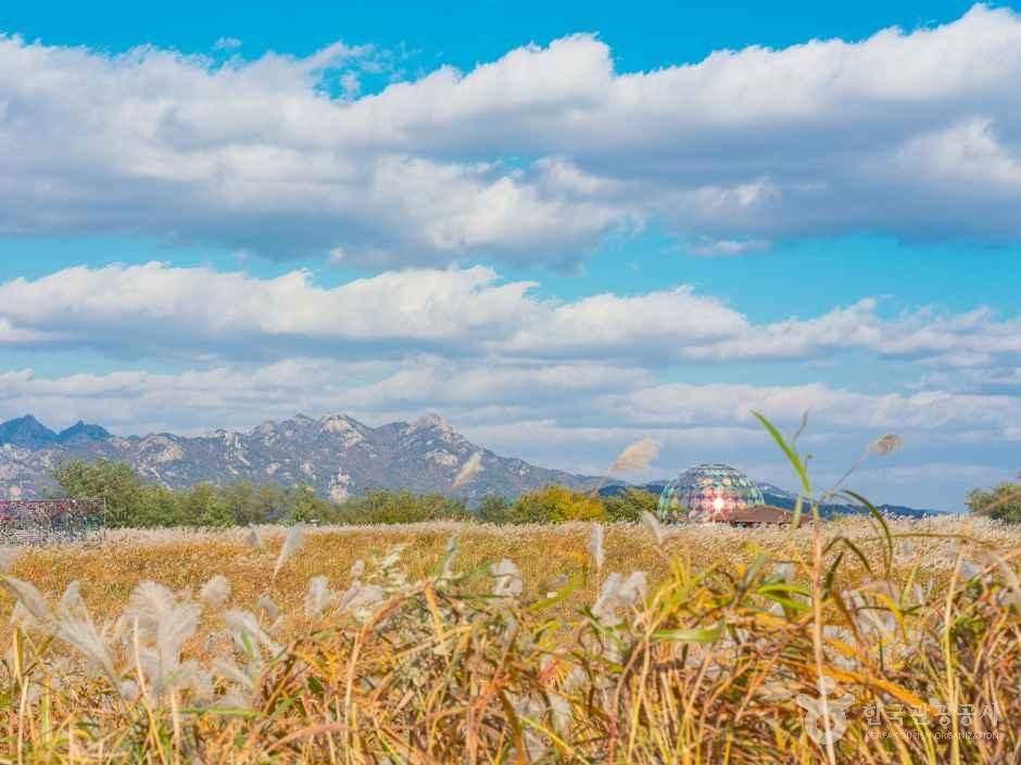 [서울] 하늘공원