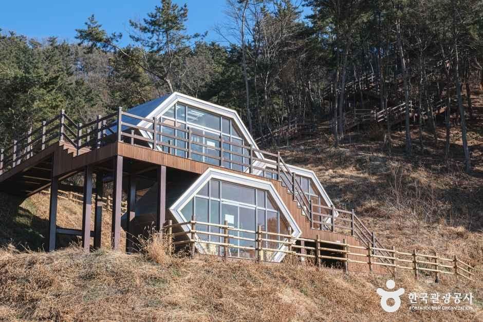 [전북] 국립익산치유의숲