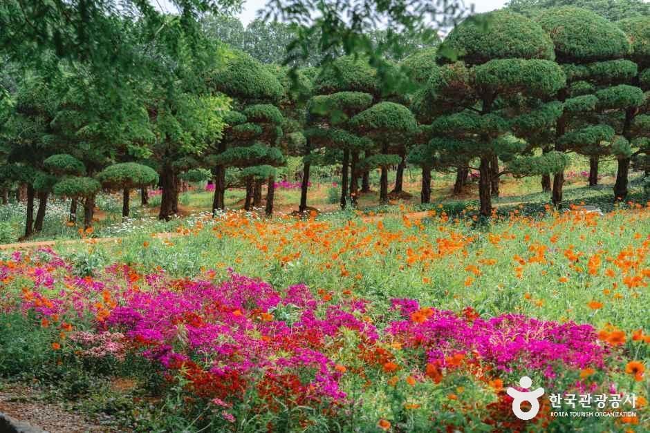 [전북] 아가페정원