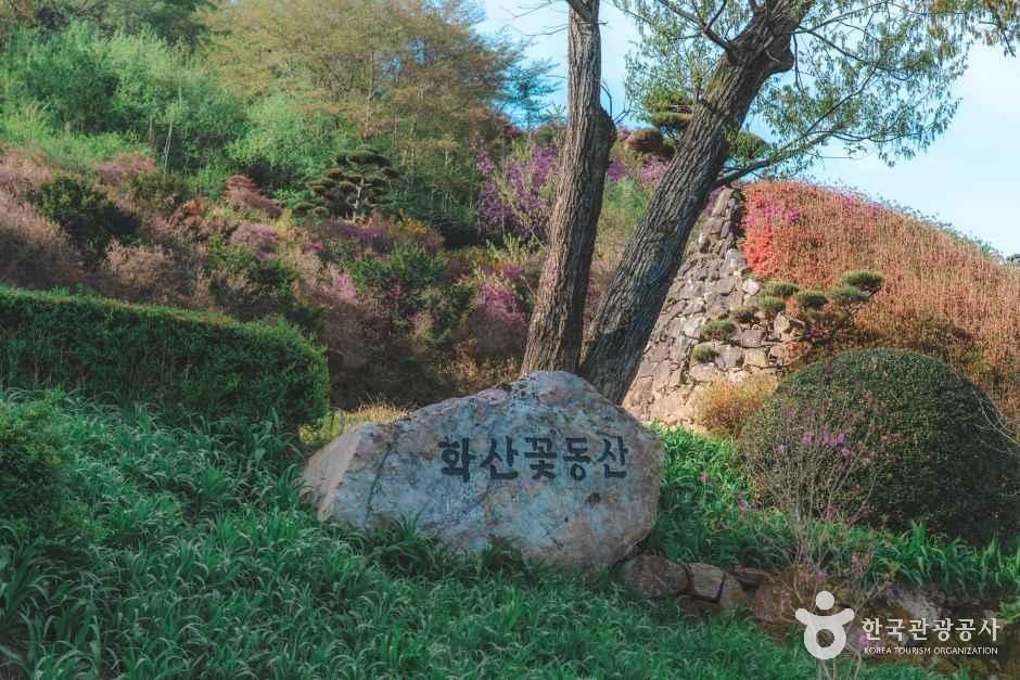 [전북] 완주 화산꽃동산