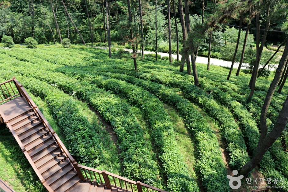 [전북] 익산산림조합산림문화체험관