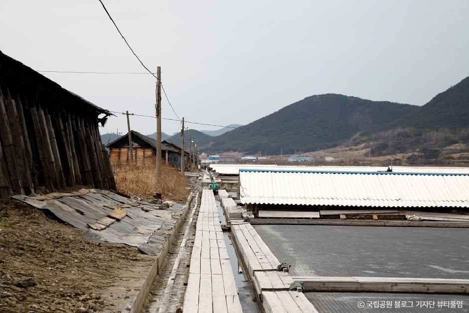 [전북] 곰소염전
