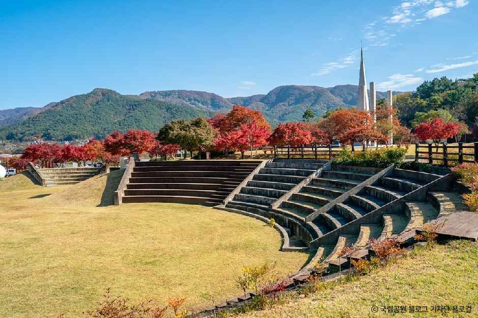 [전북] 내장산조각공원