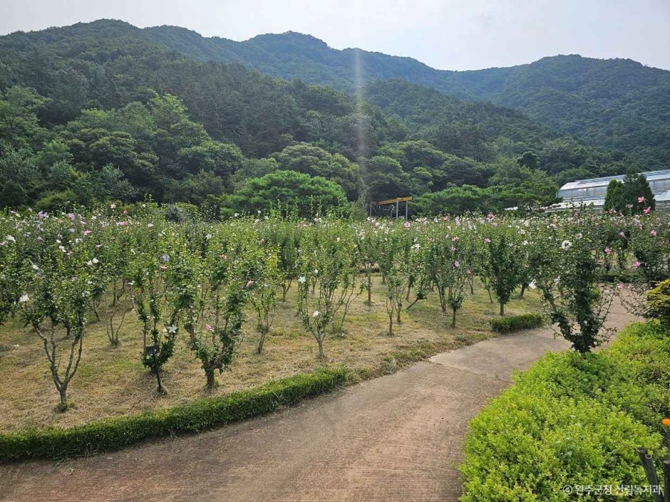 [전북] 고산문화공원