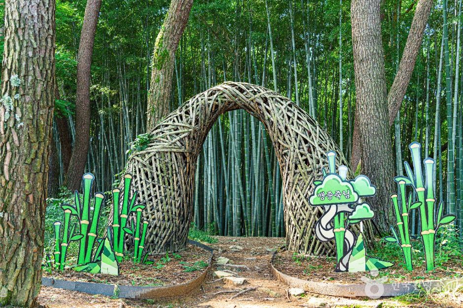 [전북] 고창읍성 맹종죽림