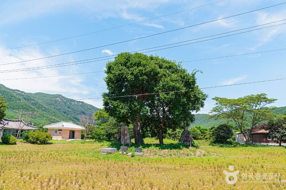 [전북] 우동리당산