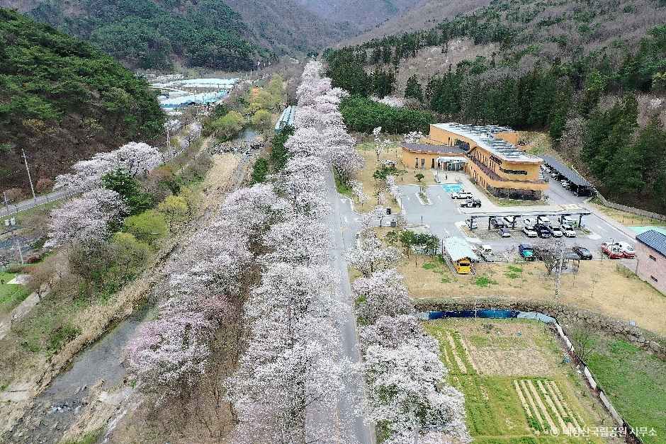 [전북] 내장산국립공원