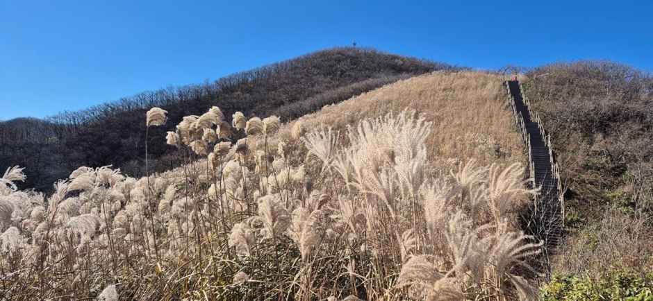 [전북] 장안산군립공원
