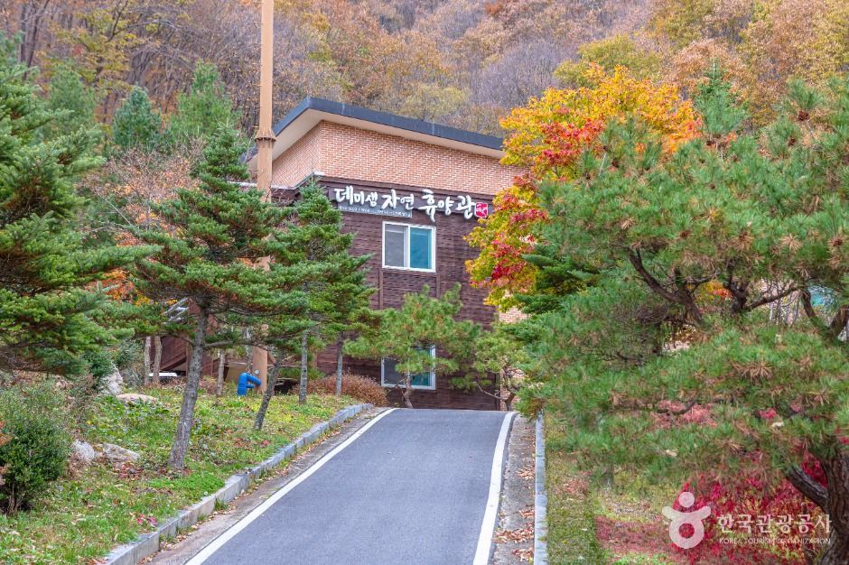 [전북] 데미샘자연휴양림