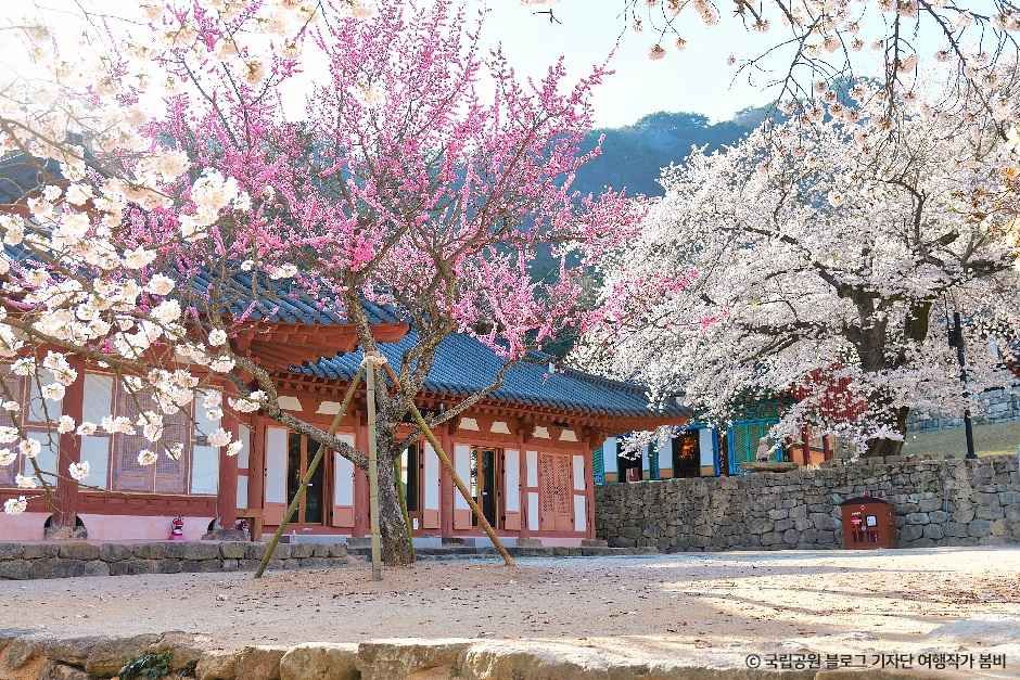 [전북] 내소사(부안)