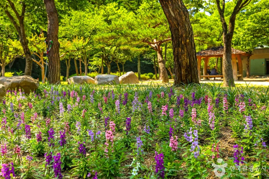 [대구] 대구앞산공원