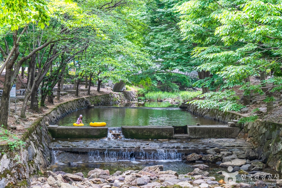 [전북] 고산자연휴양림