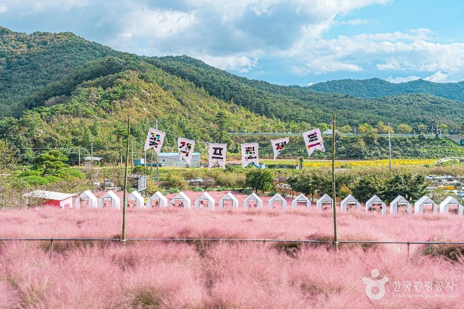 [전북] 꽃객프로젝트