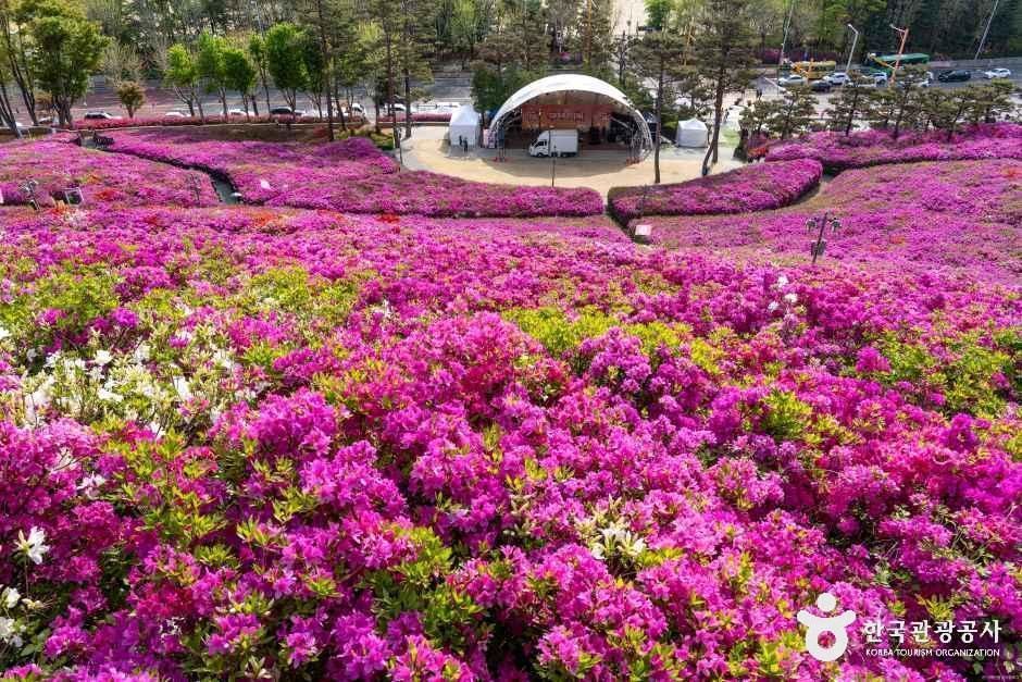 [경기] 철쭉동산