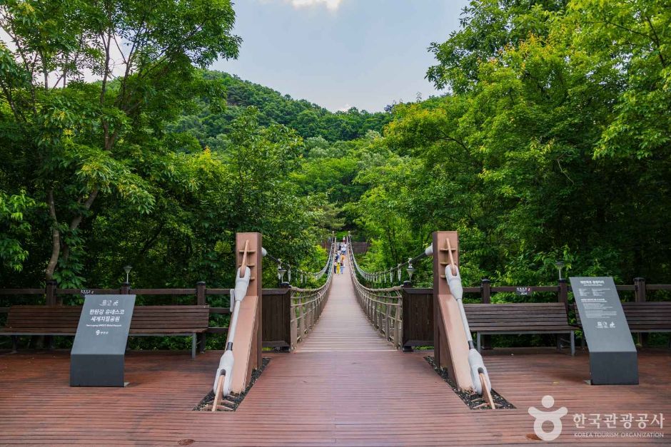 [경기] 재인폭포 출렁다리