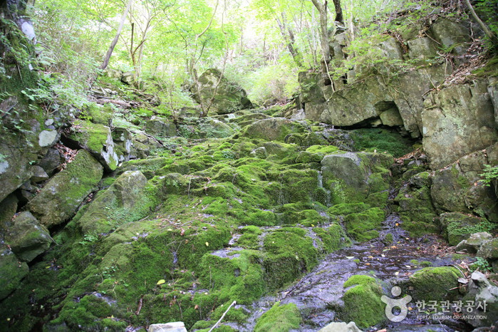 [전북] 운장산