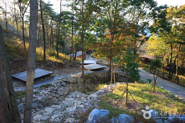 [전남광주통합특별시] 국립 천관산자연휴양림