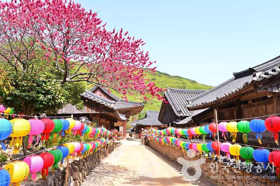 [전남광주통합특별시] 조계산도립공원