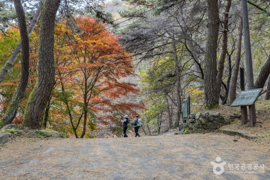 [전남광주통합특별시] 추월산