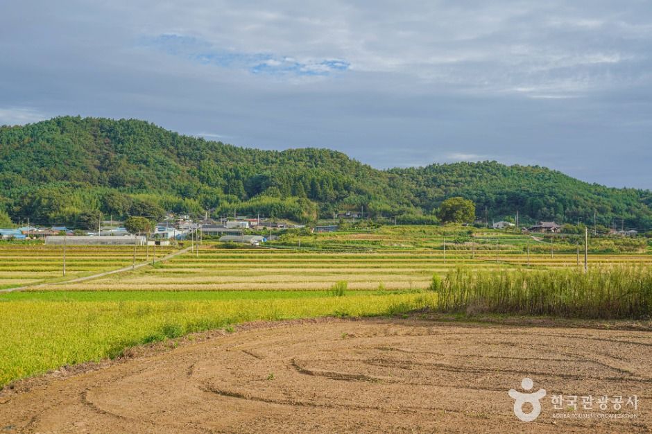 [전남광주통합특별시] 삼수마을