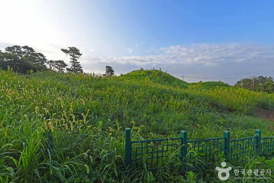 [전남광주통합특별시] 함평죽암리고분