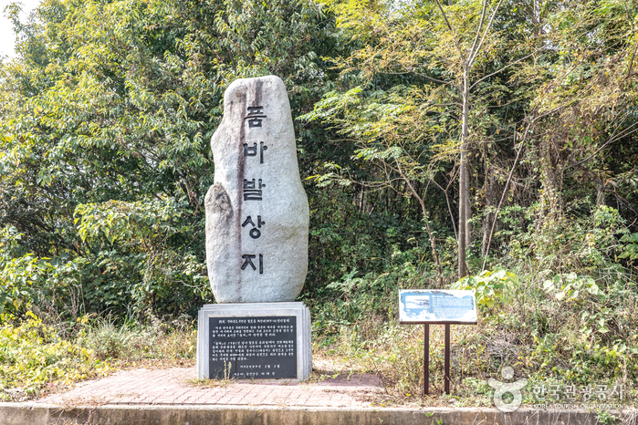 [전남광주통합특별시] 품바발상지