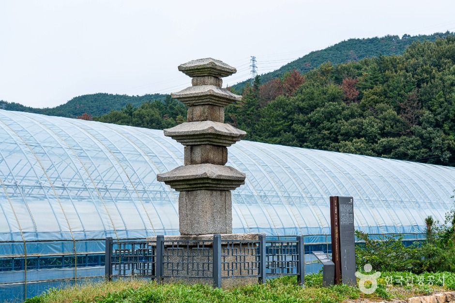 [전남광주통합특별시] 진원리 오층석탑