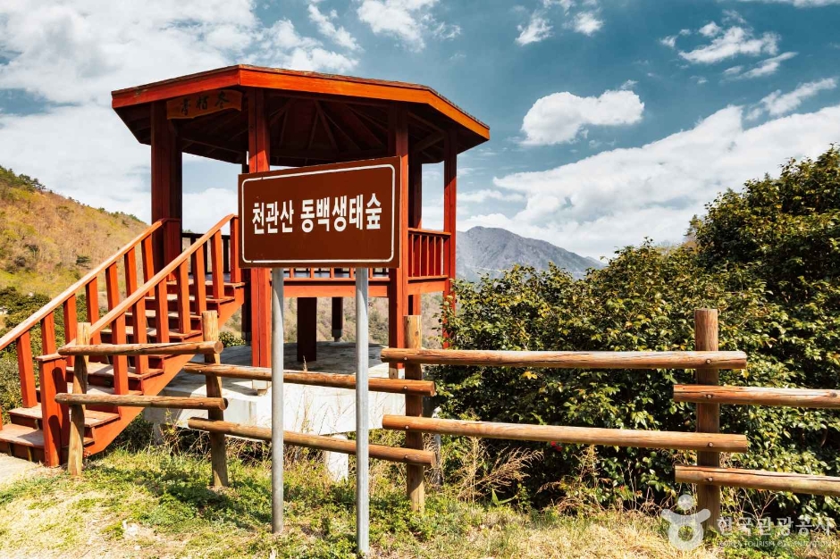 [전남광주통합특별시] 천관산동백생태숲