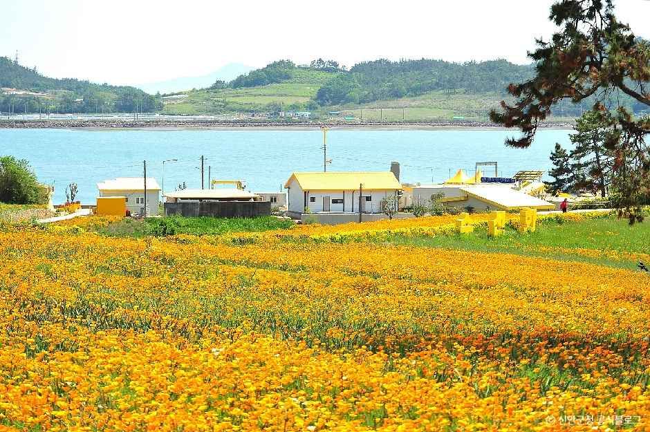 [전남광주통합특별시] 선도