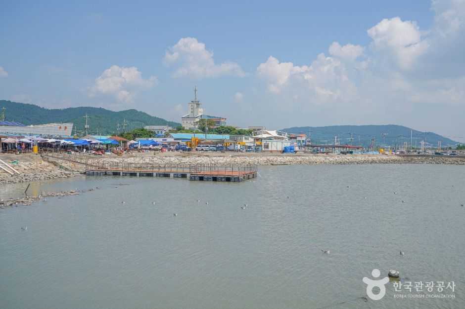 [전남광주통합특별시] 설도항