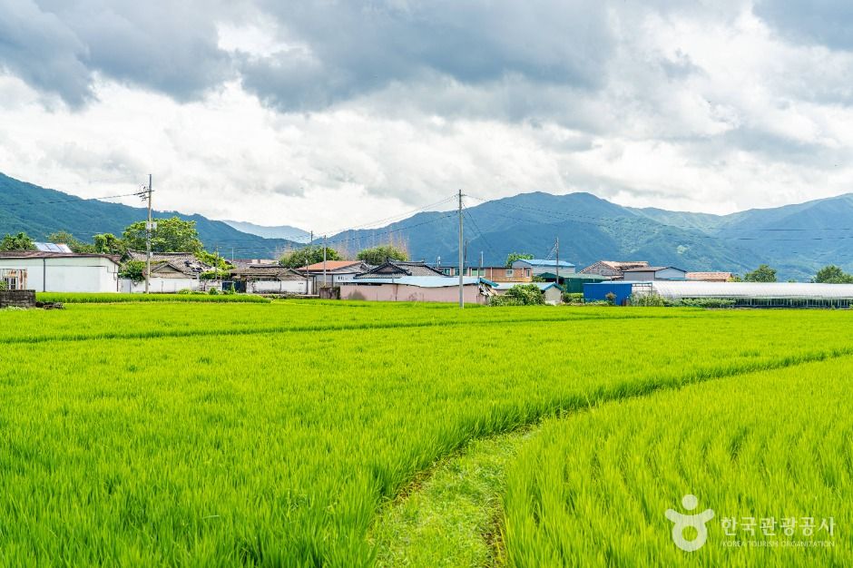 [전남광주통합특별시] 용두마을