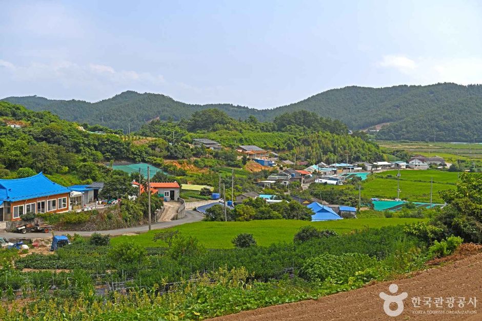 [전남광주통합특별시] 약산도(조약도)