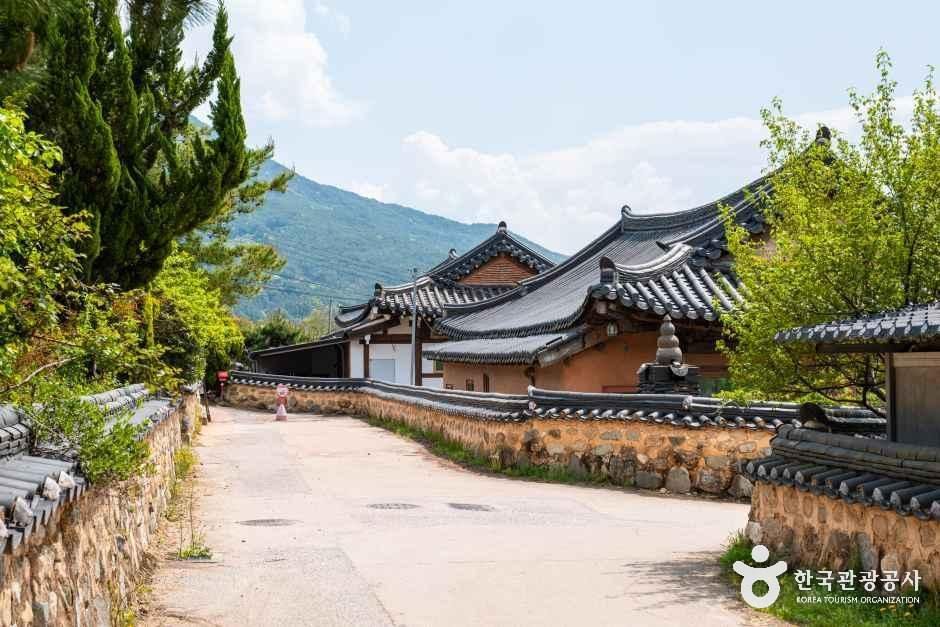 [전남광주통합특별시] 오미 은하수 마을