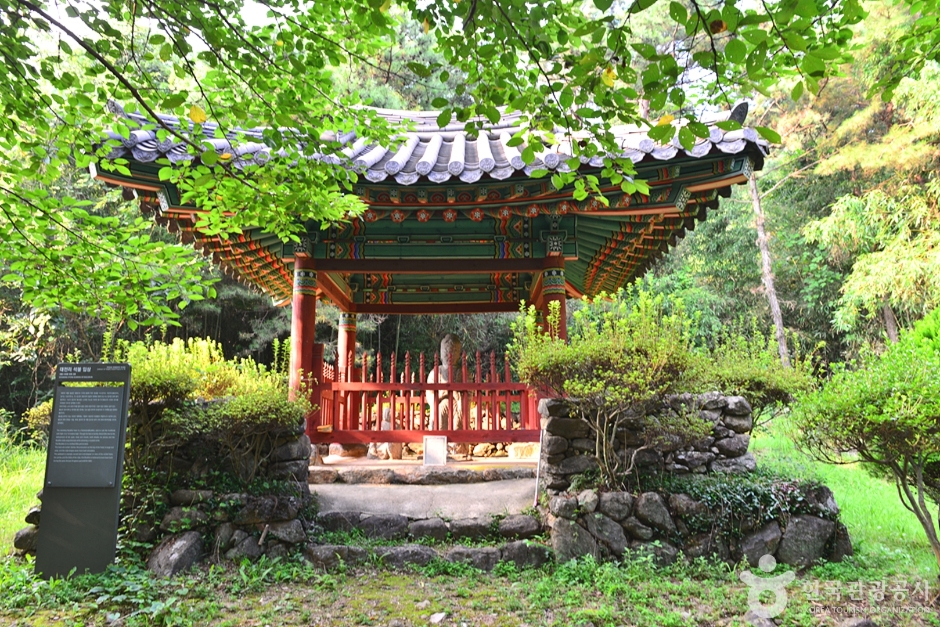 [전남광주통합특별시] 대전리 석불입상