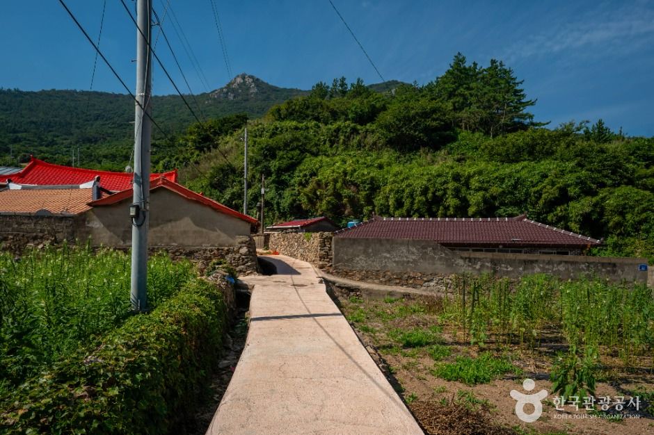 [전남광주통합특별시] 흑산도