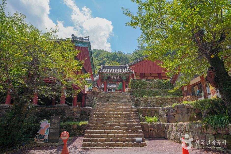 [전남광주통합특별시] 도림사(곡성)