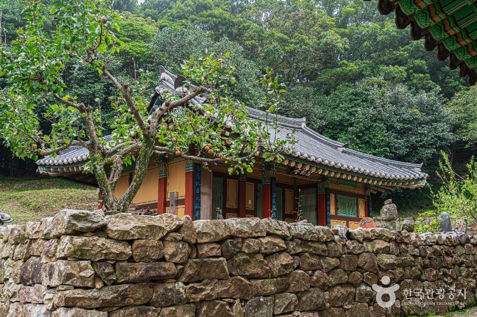 [전남광주통합특별시] 미황사(해남)