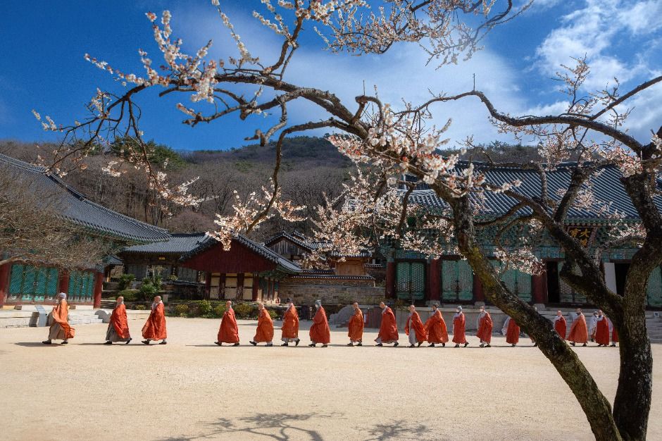 [전남광주통합특별시] 송광사(순천)