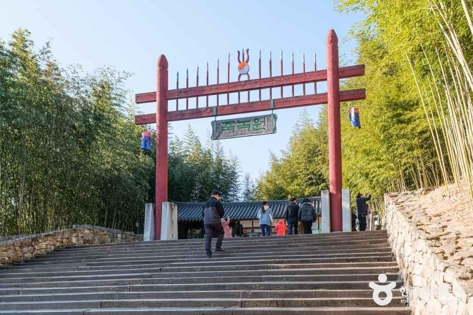[전남광주통합특별시] 죽녹원
