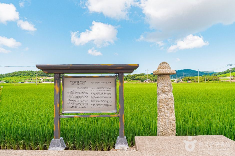 [전남광주통합특별시] 무안발산마을미륵당산
