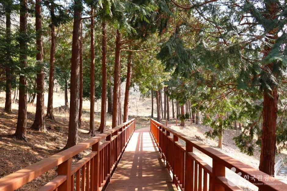 [전남광주통합특별시] 운림산림욕장
