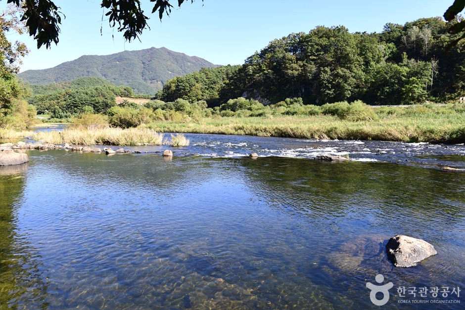 [전남광주통합특별시] 보성강