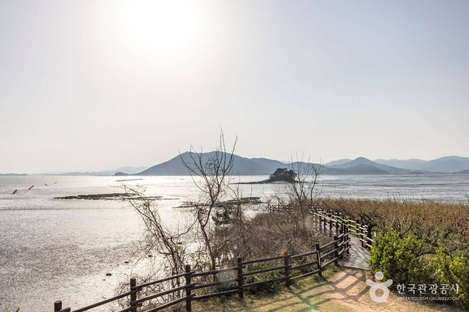 [전남광주통합특별시] 와온공원