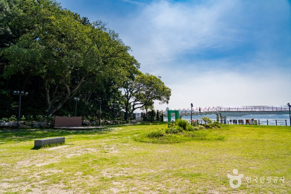[전남광주통합특별시] 배알도 섬 정원
