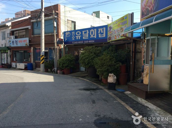 [전남광주통합특별시] 만호유달횟집